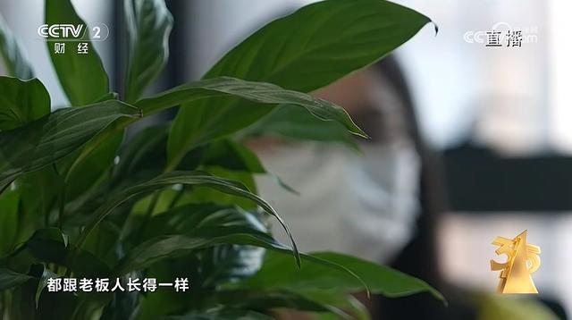 图源：CCTV2财经