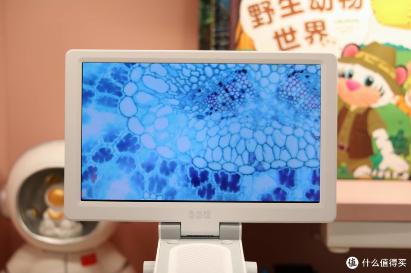 当当狸智能显微镜，让孩子远离手机的神器，搭配1080P高清大屏
