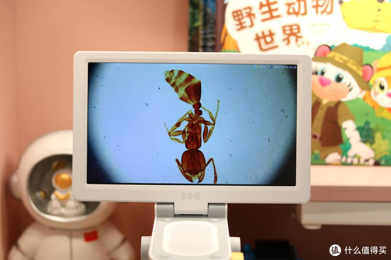 当当狸智能显微镜，让孩子远离手机的神器，搭配1080P高清大屏