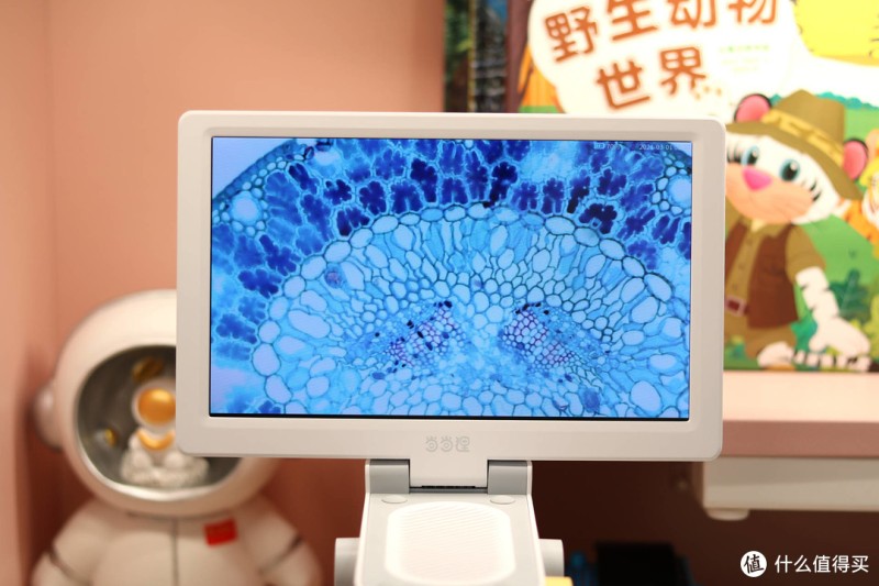 当当狸智能显微镜，让孩子远离手机的神器，搭配1080P高清大屏