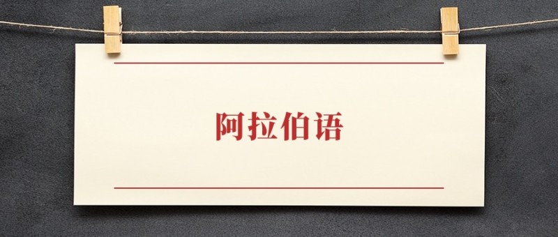 阿拉伯语专业本科排名：招生院校有哪些？附2024录取分数线
