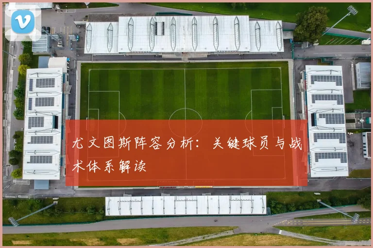 尤文图斯阵容分析：关键球员与战术体系解读